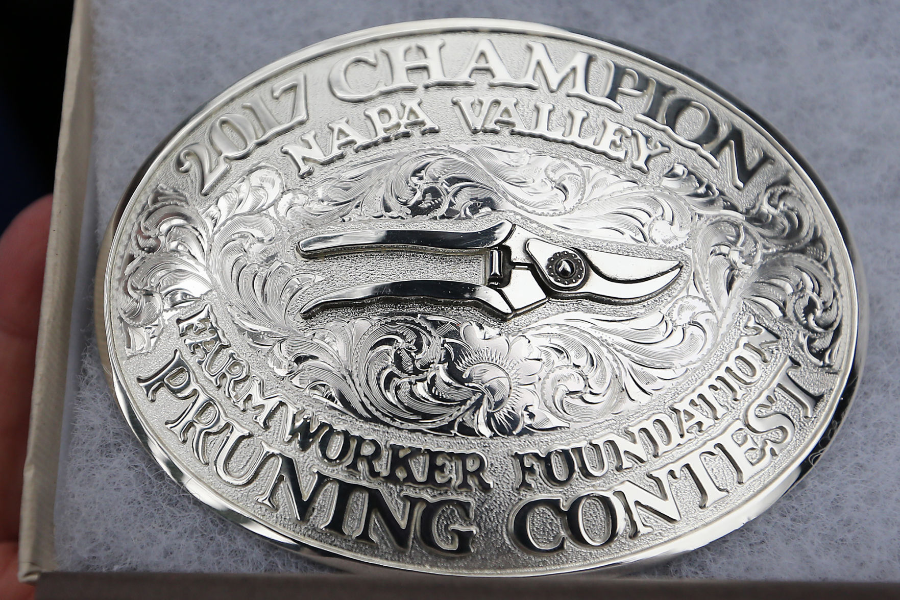 Pruning Contest